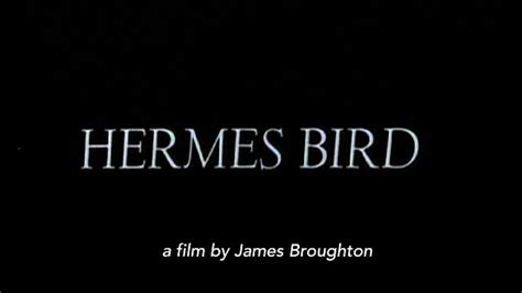 hermes bird 1979 watch onlin|‎Hermes Bird (1979) directed by James Broughton .